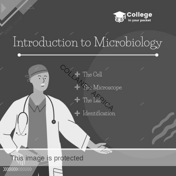 introduction to microbiology