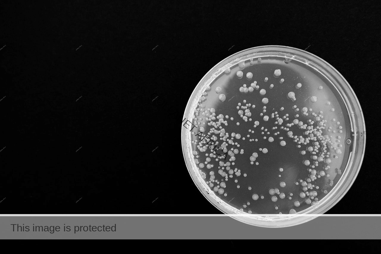 Introduction to Microbiology