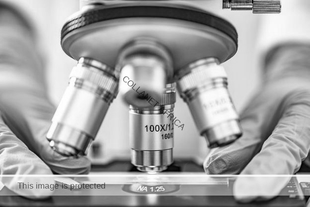 introduction to microbiology