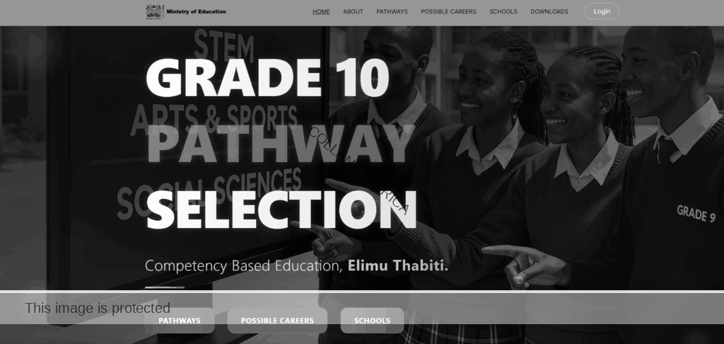 CBE Career pathways